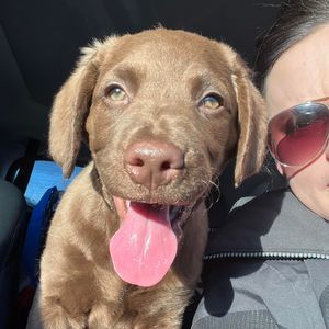 Meet your Posher, Ashley